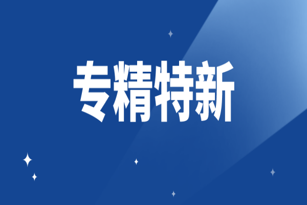 廣東省深化支持專精特新企業(yè)融資服務(wù)行動(dòng)計(jì)劃