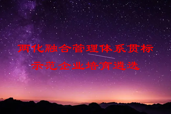 江蘇省兩化融合管理體系貫標示范企業(yè)培育遴選