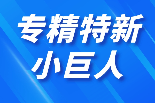 深圳市第四批專精特新“小巨人”企業(yè)和第一批專精特新“小巨人”復核通過企業(yè)名單公示