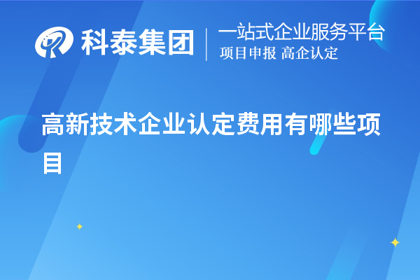 高新技術(shù)企業(yè)認(rèn)定費(fèi)用有哪些項目