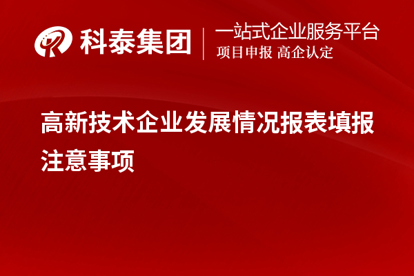 高新技術(shù)企業(yè)發(fā)展情況報(bào)表填報(bào)注意事項(xiàng)