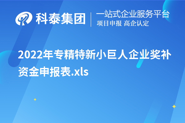 2022年專(zhuān)精特新小巨人企業(yè)獎補資金申報表.xls