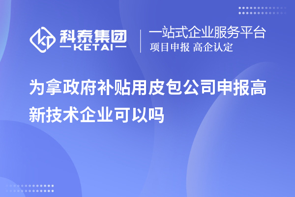 為拿政府補貼用皮包公司申報高新技術(shù)企業(yè)可以嗎