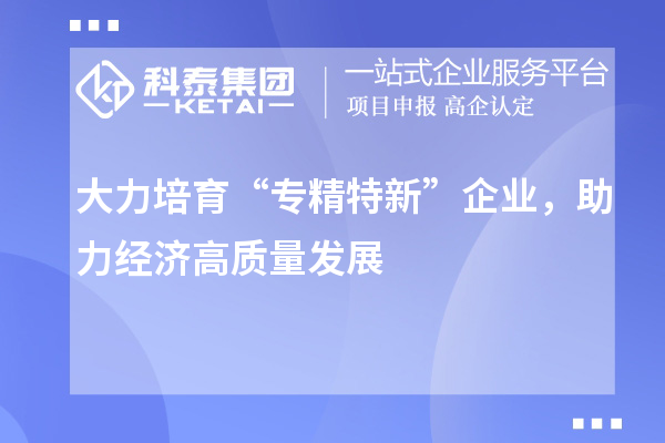 大力培育“專精特新”企業(yè)，助力經(jīng)濟(jì)高質(zhì)量發(fā)展