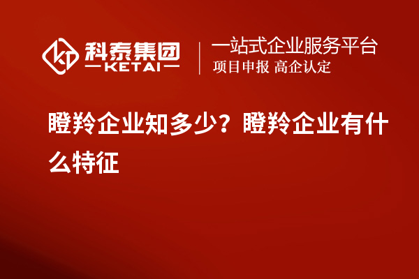 瞪羚企業(yè)知多少？瞪羚企業(yè)有什么特征