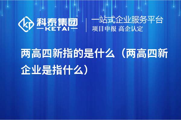 兩高四新指的是什么（兩高四新企業(yè)是指什么）