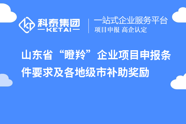 山東省“瞪羚”企業(yè)<a href=http://qiyeqqexmail.cn/shenbao.html target=_blank class=infotextkey>項(xiàng)目申報(bào)</a>條件要求及各地級(jí)市補(bǔ)助獎(jiǎng)勵(lì)