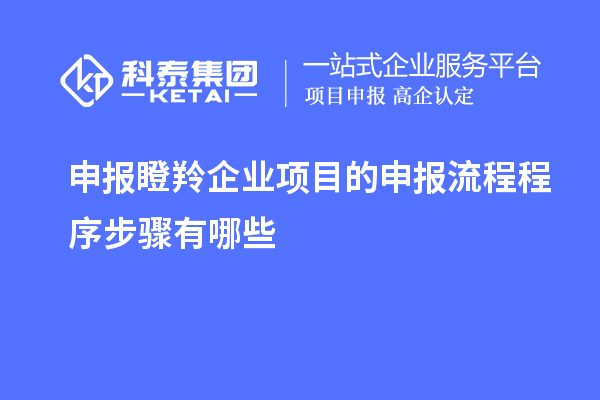 申報(bào)瞪羚企業(yè)項(xiàng)目的申報(bào)流程程序步驟有哪些