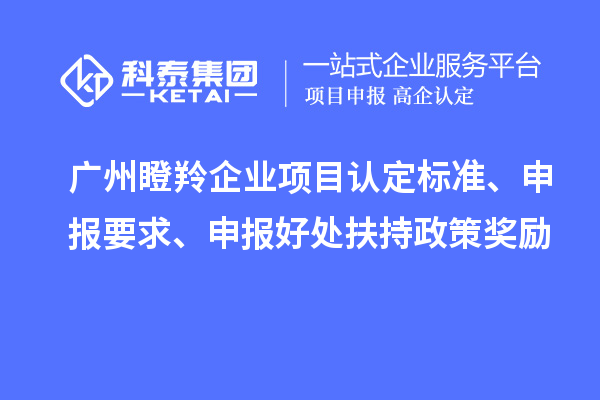 廣州瞪羚企業(yè)項(xiàng)目認(rèn)定標(biāo)準(zhǔn)、申報(bào)要求、申報(bào)好處扶持政策獎(jiǎng)勵(lì)