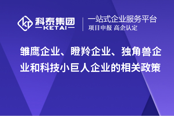 雛鷹企業(yè)、瞪羚企業(yè)、獨角獸企業(yè)和科技小巨人企業(yè)的相關(guān)政策