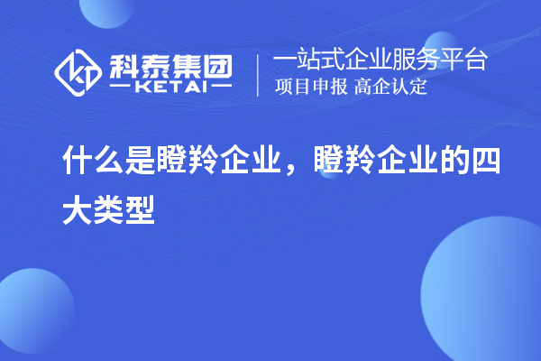 什么是瞪羚企業(yè)，瞪羚企業(yè)的四大類型