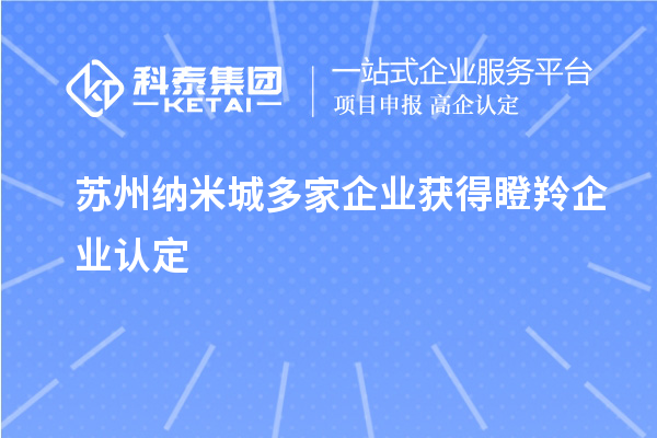 蘇州納米城多家企業(yè)獲得<a href=http://qiyeqqexmail.cn/fuwu/dengling.html target=_blank class=infotextkey>瞪羚企業(yè)認定</a>