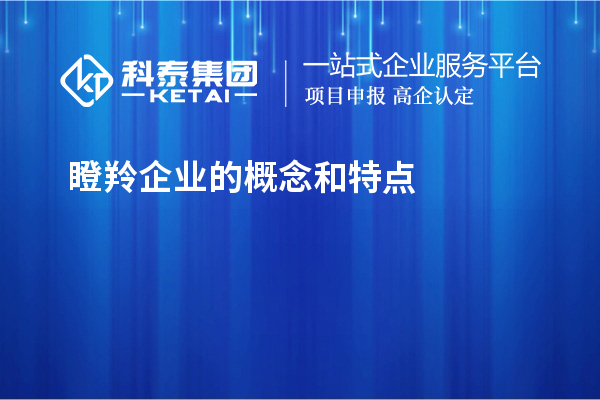 瞪羚企業(yè)的概念和特點