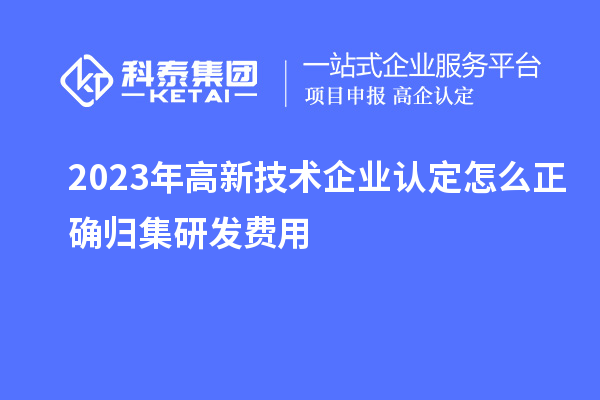 2023年高新技術(shù)企業(yè)認(rèn)定怎么正確歸集研發(fā)費用