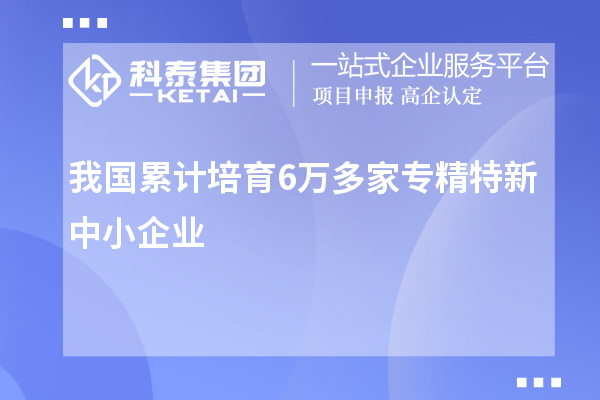 我國累計培育6萬(wàn)多家專(zhuān)精特新中小企業(yè)