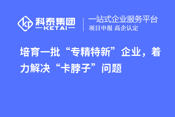 培育一批“專(zhuān)精特新”企業(yè)，著力解決“卡脖子”問(wèn)題