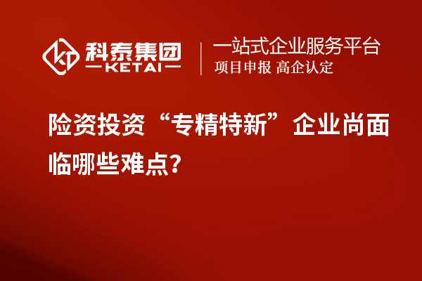 險資投資“專精特新”企業(yè)尚面臨哪些難點？