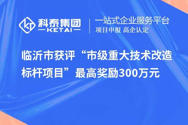 臨沂市獲評“市級重大技術(shù)改造標桿項目”最高獎勵300萬(wàn)元