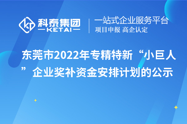  東莞市2022年專精特新“小巨人”企業(yè)獎補資金安排計劃的公示