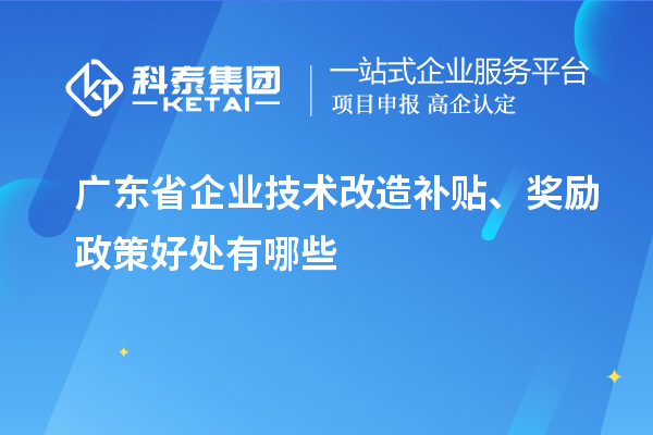 廣東省企業(yè)技術(shù)改造補(bǔ)貼、獎勵政策好處有哪些