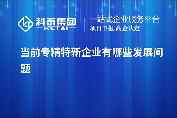 當(dāng)前專精特新企業(yè)有哪些發(fā)展問題