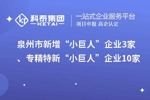 泉州市新增“小巨人”企業(yè)3家、專精特新“小巨人”企業(yè)10家