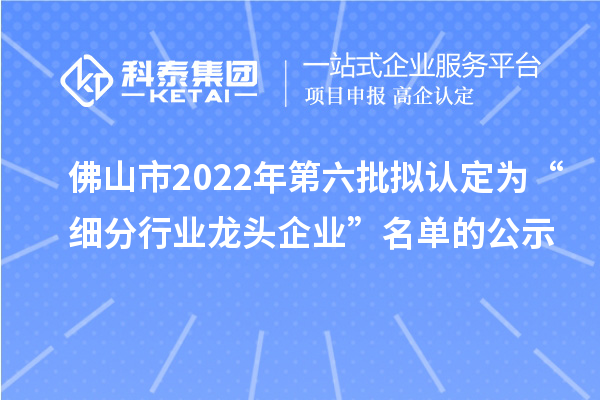 佛山市2022年第六批擬認(rèn)定為“細(xì)分行業(yè)龍頭企業(yè)”名單的公示