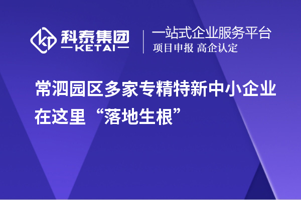 常泗園區(qū)多家專精特新中小企業(yè)在這里“落地生根”