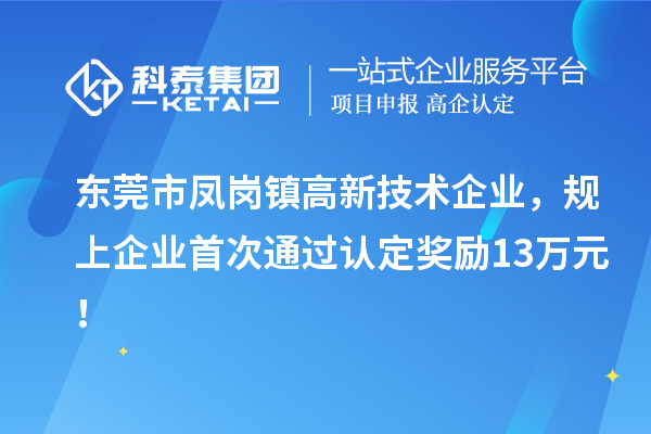 東莞市鳳崗鎮(zhèn)高新技術(shù)企業(yè)，規(guī)上企業(yè)首次通過認定獎勵13萬元！