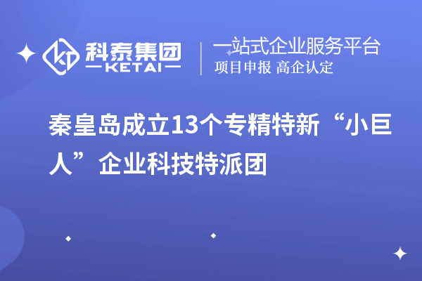 秦皇島成立13個專精特新“小巨人”企業(yè)科技特派團