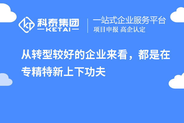 從轉型較好的企業(yè)來(lái)看，都是在專(zhuān)精特新上下功夫