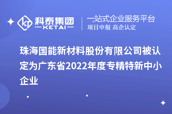 國能新材被認(rèn)定為廣東省2022年度專精特新中小企業(yè)