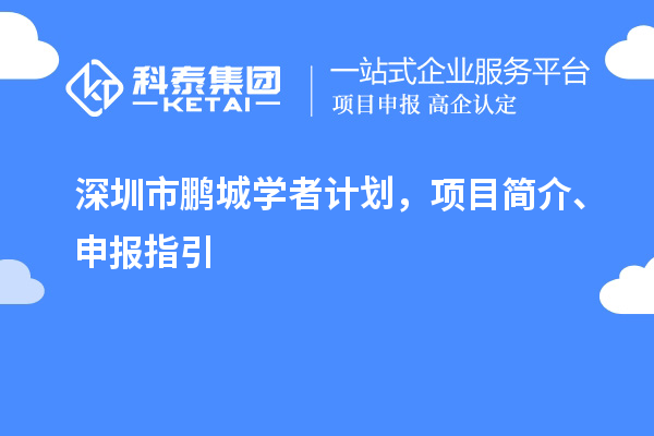 深圳市鵬城學(xué)者計(jì)劃，項(xiàng)目簡(jiǎn)介、申報(bào)指引