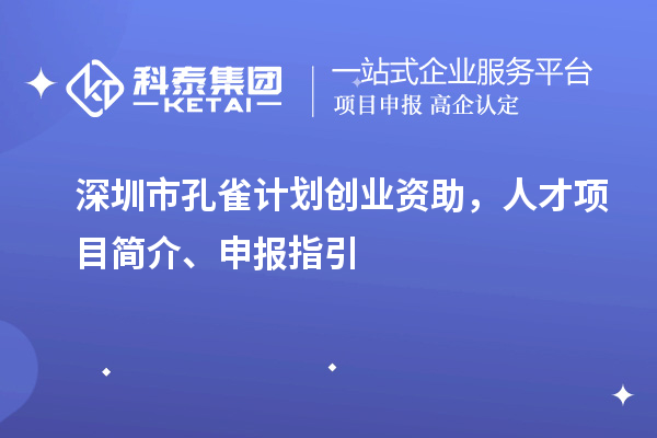 深圳市孔雀計(jì)劃創(chuàng)業(yè)資助，人才項(xiàng)目簡(jiǎn)介、申報(bào)指引