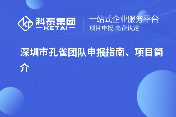 深圳市孔雀團(tuán)隊(duì)申報(bào)指南、項(xiàng)目簡(jiǎn)介