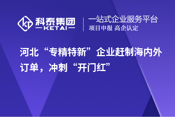 河北“專精特新”企業(yè)趕制海內(nèi)外訂單，沖刺“開門紅”