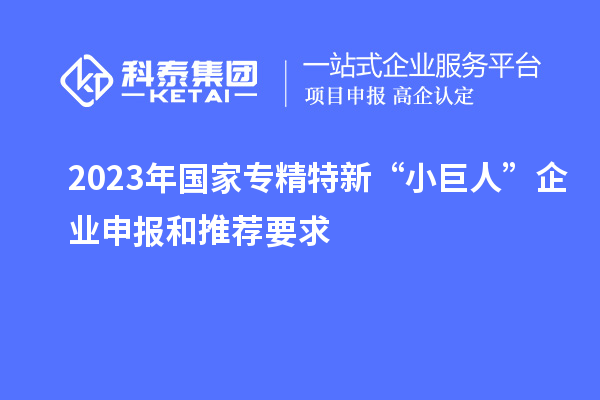 2023年國家專精特新“小巨人”企業(yè)申報(bào)和推薦要求