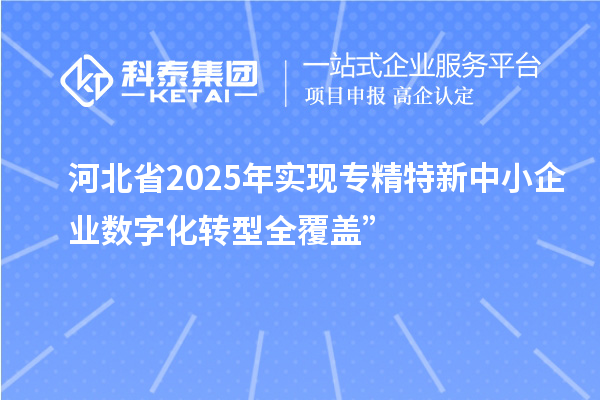 河北省2025年實現(xiàn)專精特新中小企業(yè)數(shù)字化轉型全覆蓋”