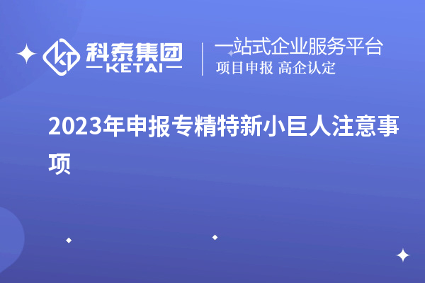 2023年申報專(zhuān)精特新小巨人注意事項