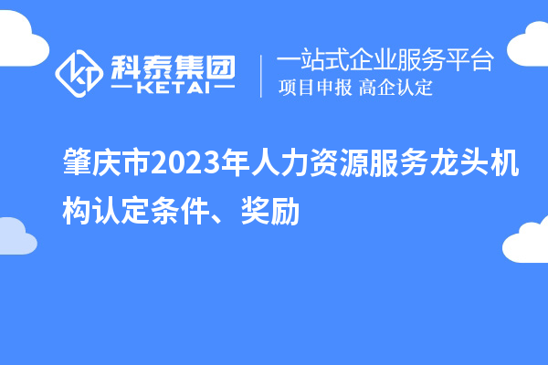 肇慶市2023年人力資源服務(wù)龍頭機構認定條件、獎勵