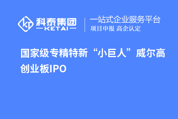 國家級(jí)專精特新“小巨人”威爾高創(chuàng)業(yè)板IPO