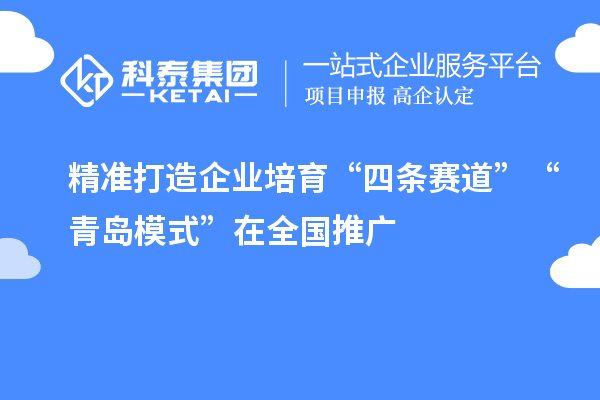 精準打造企業(yè)培育“四條賽道” “青島模式”在全國推廣