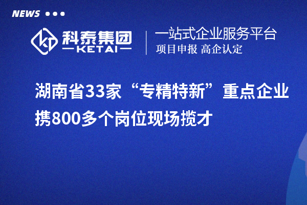 湖南省33家“專(zhuān)精特新”重點(diǎn)企業(yè)攜800多個(gè)崗位現場(chǎng)攬才