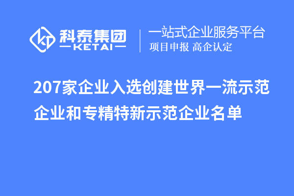 207家企業(yè)入選創(chuàng  )建世界一流示范企業(yè)和專(zhuān)精特新示范企業(yè)名單