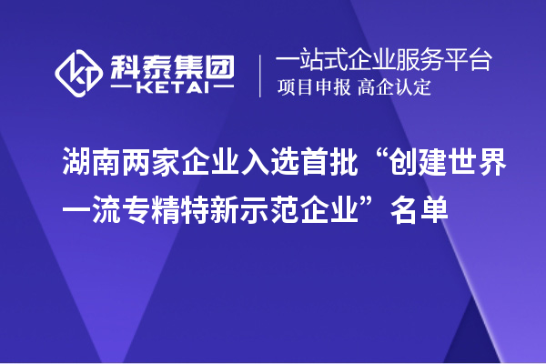 湖南兩家企業(yè)入選首批“創(chuàng  )建世界一流專(zhuān)精特新示范企業(yè)”名單