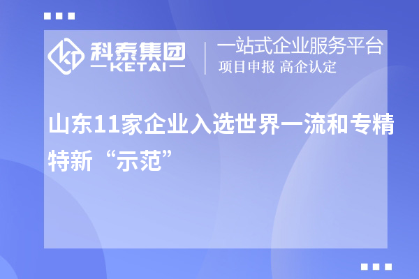 山東11家企業(yè)入選世界一流和專(zhuān)精特新“示范”