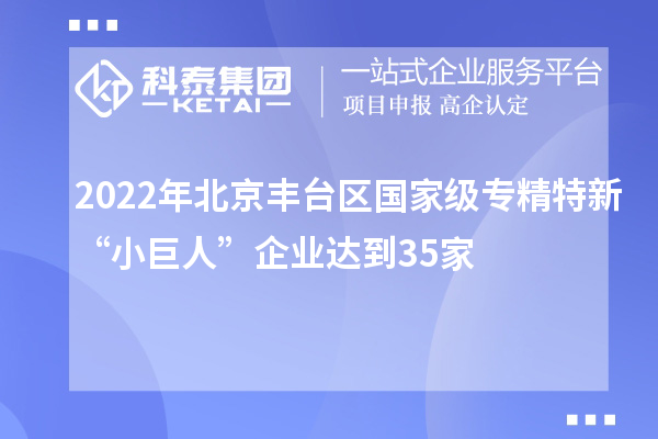 2022年北京豐臺(tái)區(qū)國(guó)家級(jí)專(zhuān)精特新“小巨人”企業(yè)達(dá)到35家