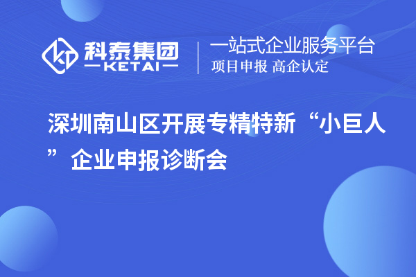 深圳南山區(qū)開展專精特新“小巨人”企業(yè)申報診斷會