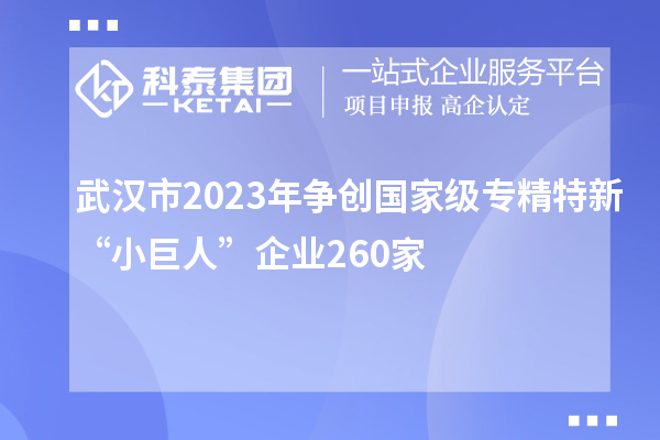 武漢市2023年爭創(chuàng  )國家級專(zhuān)精特新“小巨人”企業(yè)260家