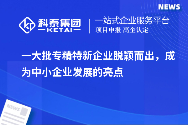 一大批專精特新企業(yè)脫穎而出，成為中小企業(yè)發(fā)展的亮點(diǎn)